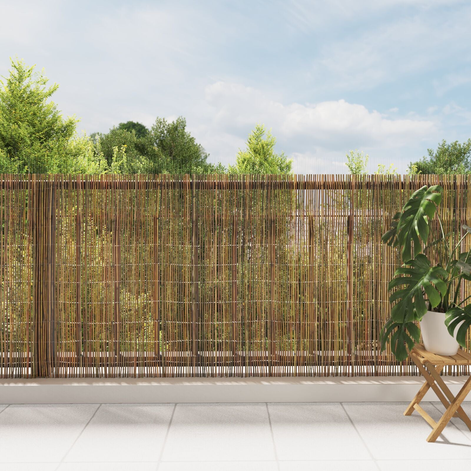 Gard Din Bambus 300X125 Cm